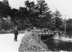 Bridge across Meander Creek