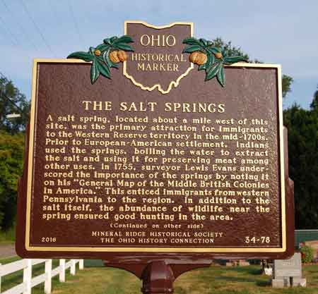 Ohio Historical Marker, The Salt Springs