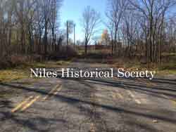 The site is now only trees and the pavement remnants of the old Church Street entrance to Robbins Avenue