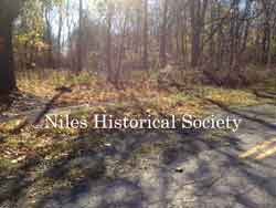 The site is now only trees and the pavement remnants of the old Church Street entrance to Robbins Avenue