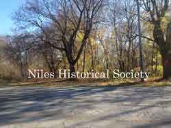 The site is now only trees and the pavement remnants of the old Church Street entrance to Robbins Avenue